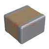 2225Y1K50102MXT Image