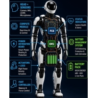 Hoahoa Mana me te Tiaki i roto i te Hikohiko Robotic